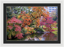 Load image into Gallery viewer, Shinjuku Gyoen
