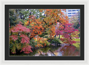 Shinjuku Gyoen