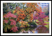 Load image into Gallery viewer, Shinjuku Gyoen
