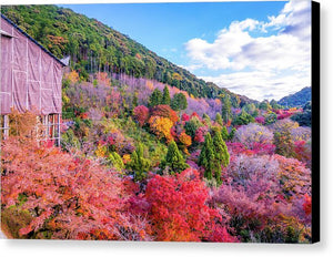 Autumn at Kiyomizu-dera Temple