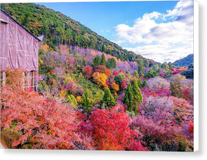 Autumn at Kiyomizu-dera Temple