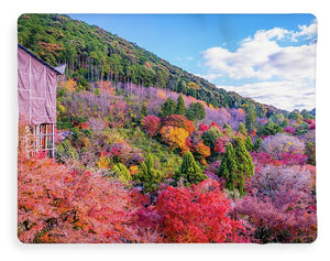 Autumn at Kiyomizu-dera Temple