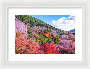 Autumn at Kiyomizu-dera Temple