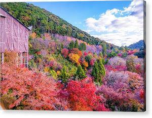 Autumn at Kiyomizu-dera Temple