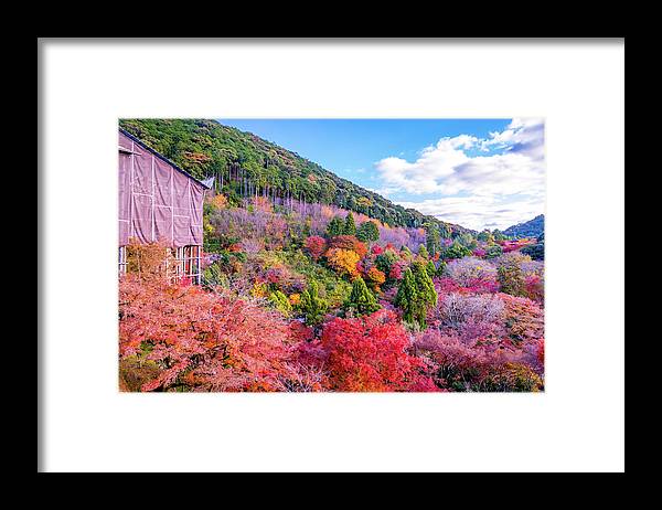 Autumn at Kiyomizu-dera Temple