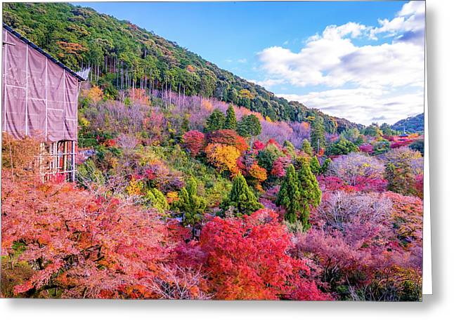 Autumn at Kiyomizu-dera Temple