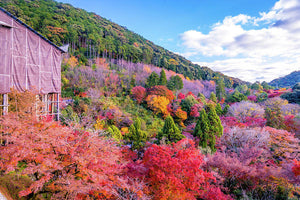 Autumn at Kiyomizu-dera Temple