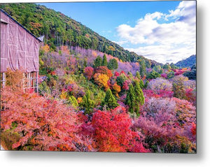 Autumn at Kiyomizu-dera Temple