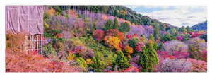 Autumn at Kiyomizu-dera Temple