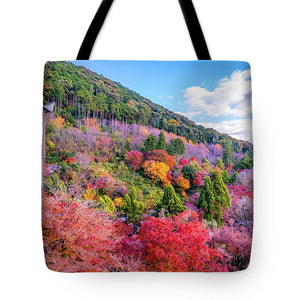 Autumn at Kiyomizu-dera Temple