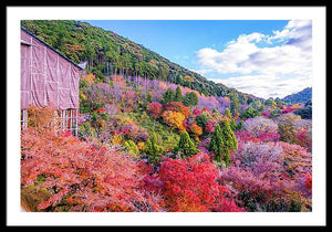 Autumn at Kiyomizu-dera Temple