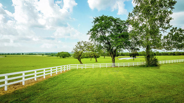 Countryside