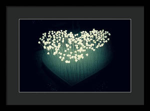 Heart Illuminated