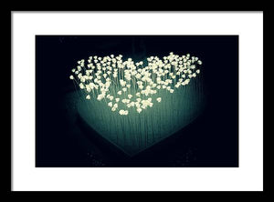 Heart Illuminated