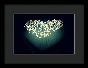 Heart Illuminated