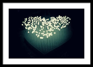 Heart Illuminated