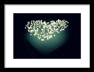 Heart Illuminated