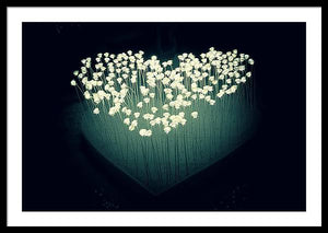 Heart Illuminated