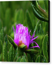 Load image into Gallery viewer, Purple Dew
