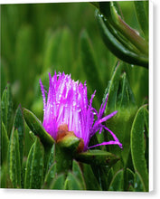 Load image into Gallery viewer, Purple Dew
