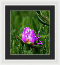 Load image into Gallery viewer, Purple Dew
