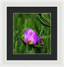 Load image into Gallery viewer, Purple Dew
