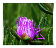 Load image into Gallery viewer, Purple Dew
