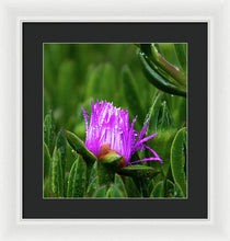 Load image into Gallery viewer, Purple Dew
