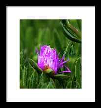 Load image into Gallery viewer, Purple Dew
