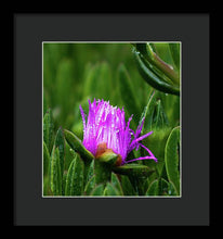 Load image into Gallery viewer, Purple Dew
