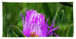 Purple Dew