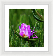 Load image into Gallery viewer, Purple Dew
