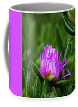 Load image into Gallery viewer, Purple Dew
