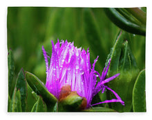 Load image into Gallery viewer, Purple Dew
