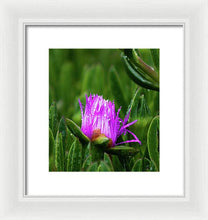 Load image into Gallery viewer, Purple Dew
