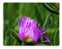 Load image into Gallery viewer, Purple Dew
