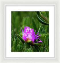 Load image into Gallery viewer, Purple Dew
