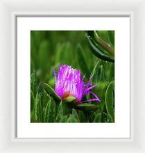 Load image into Gallery viewer, Purple Dew
