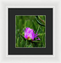 Load image into Gallery viewer, Purple Dew
