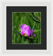 Load image into Gallery viewer, Purple Dew
