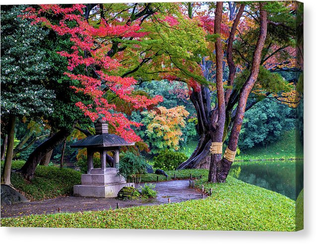 Shinjuku Gyoen