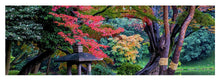 Load image into Gallery viewer, Shinjuku Gyoen
