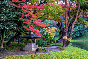 Shinjuku Gyoen