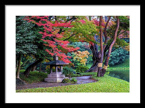 Shinjuku Gyoen