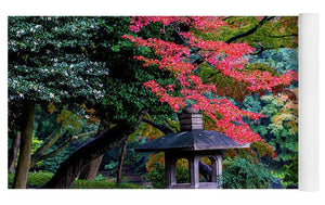 Shinjuku Gyoen